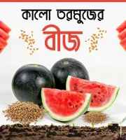 বারোমাসি কালো তরমুজের বীজ